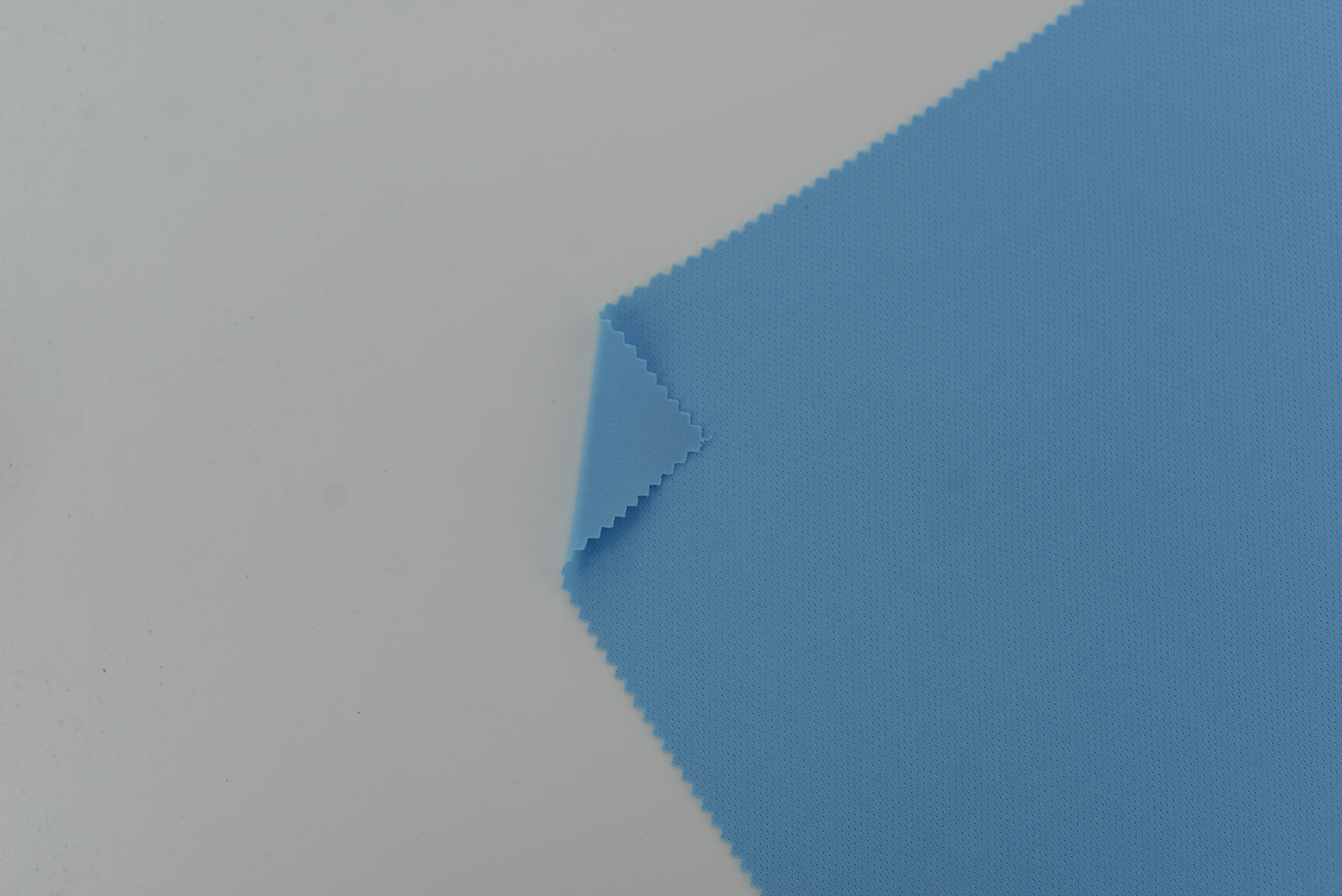 LX-P-16173 POLY BIRD EYE