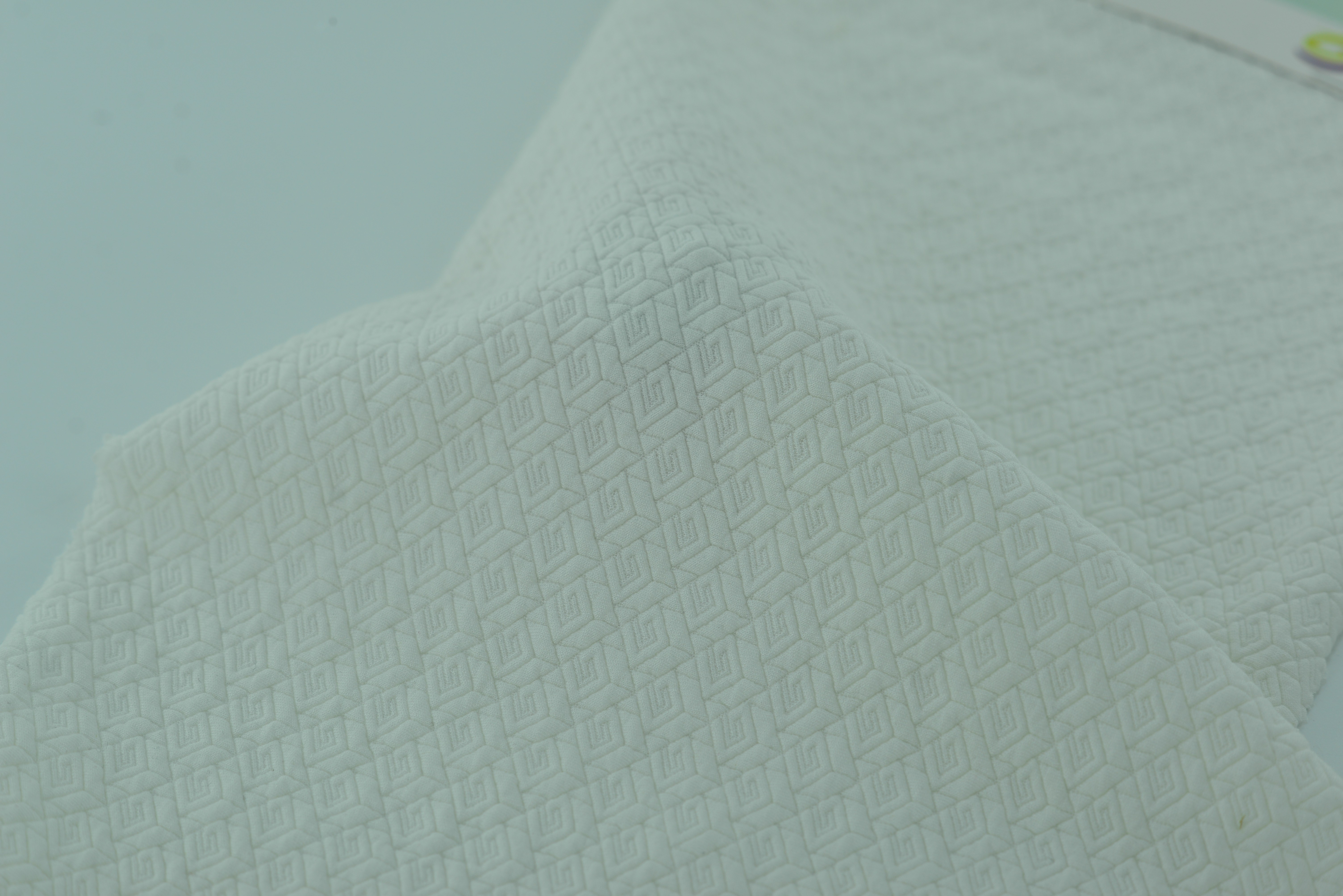 LX-P-16119 TR JACQUARD